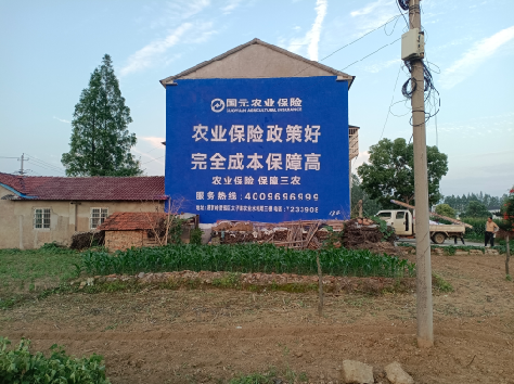 泸州墙体广告的优劣势你知道吗？